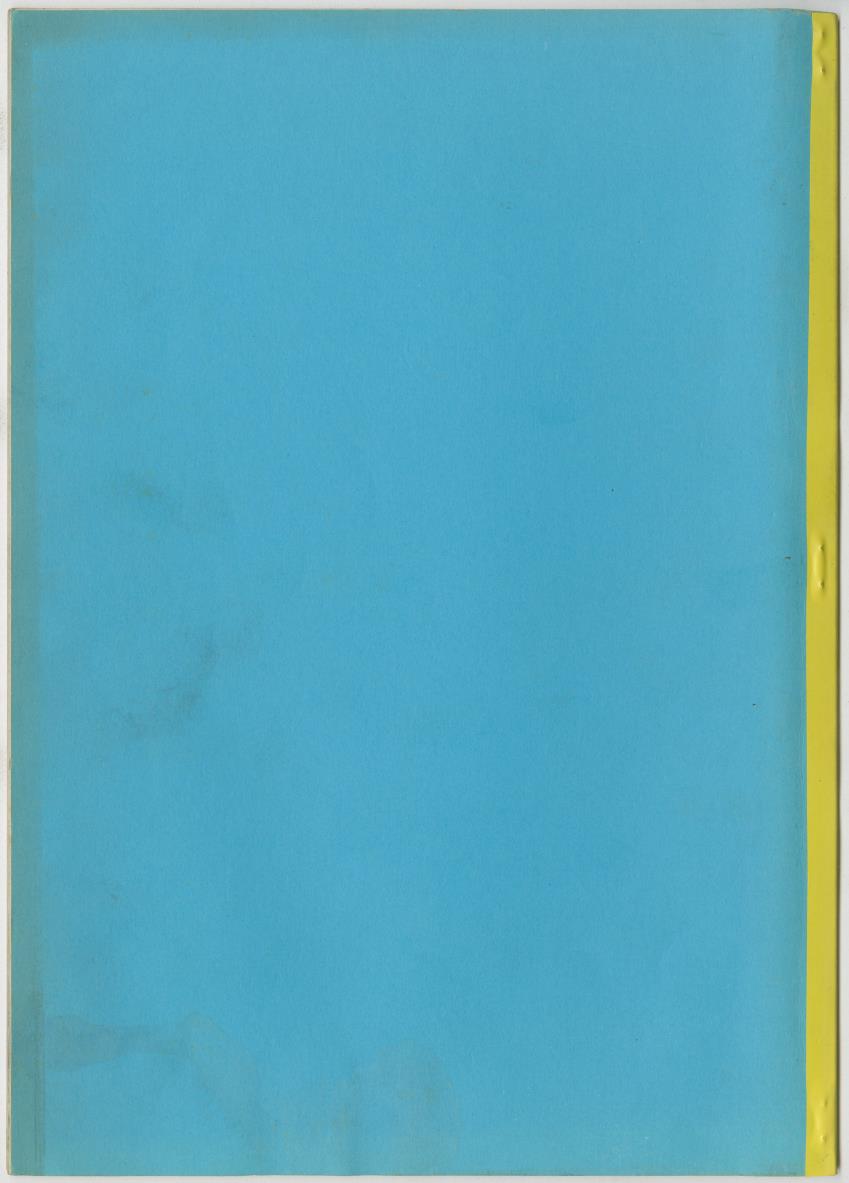 Project Bina, voortgangsrapport nr 2 - New Page