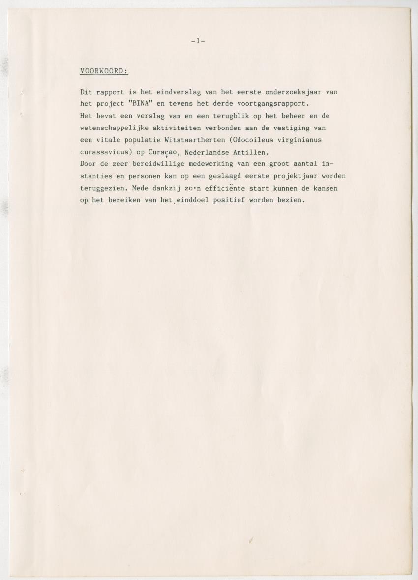 Project Bina, voortgangsrapport nr 3 - New Page