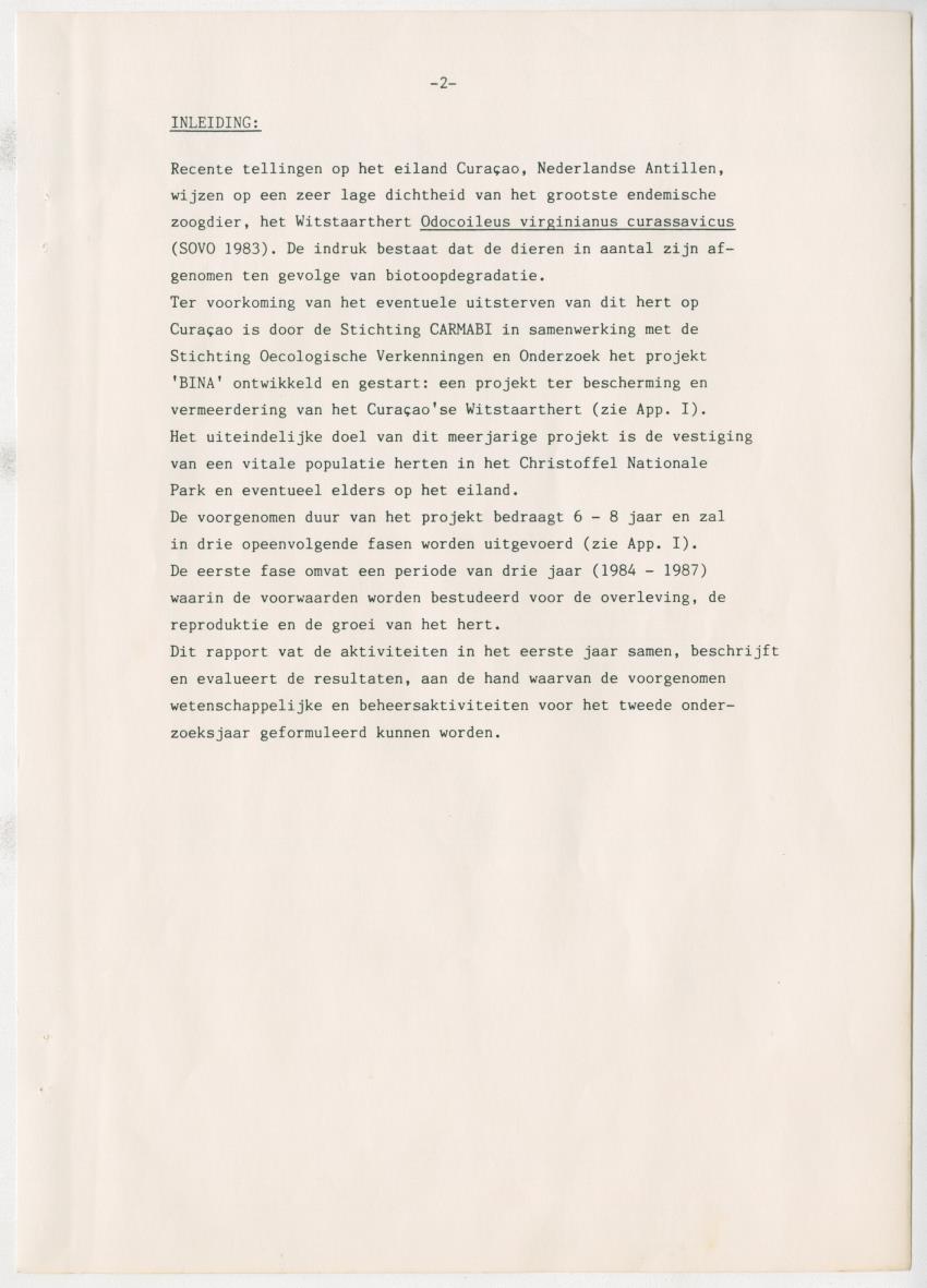 Project Bina, voortgangsrapport nr 3 - New Page