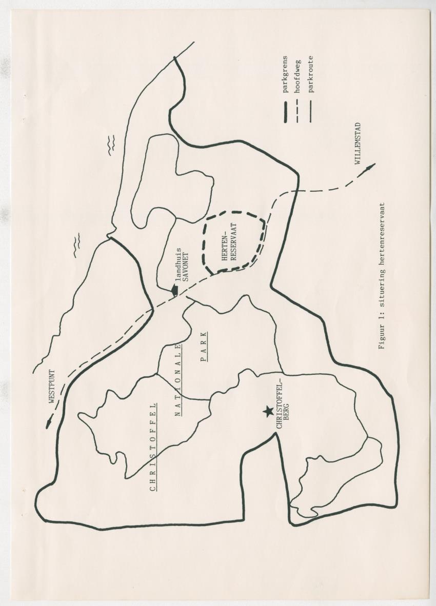 Project Bina, voortgangsrapport nr 3 - New Page