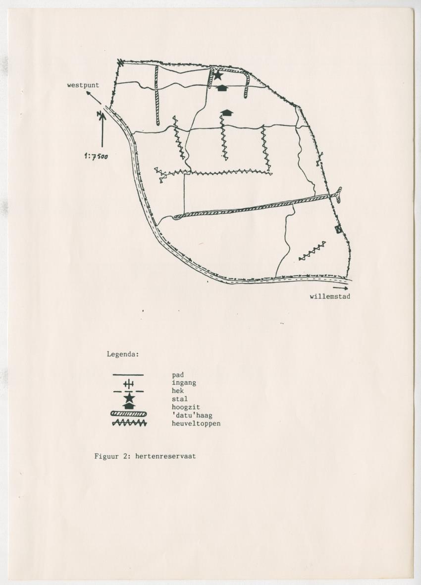 Project Bina, voortgangsrapport nr 3 - New Page