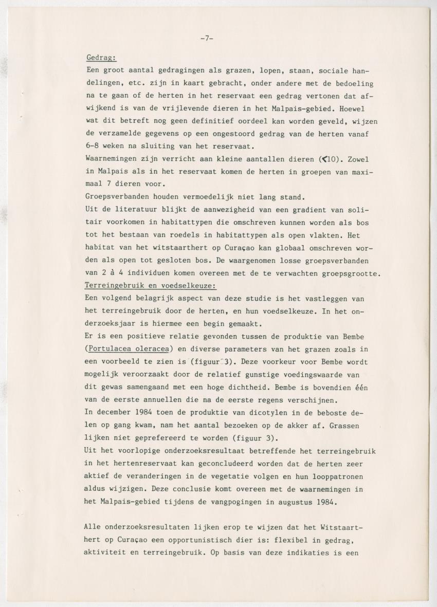 Project Bina, voortgangsrapport nr 3 - New Page