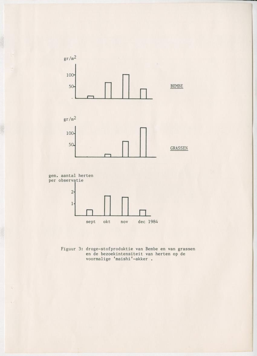 Project Bina, voortgangsrapport nr 3 - New Page
