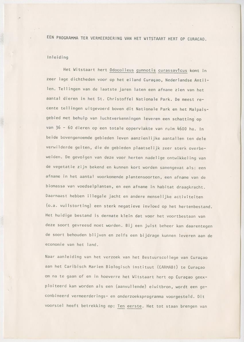 Project Bina, voortgangsrapport nr 3 - New Page