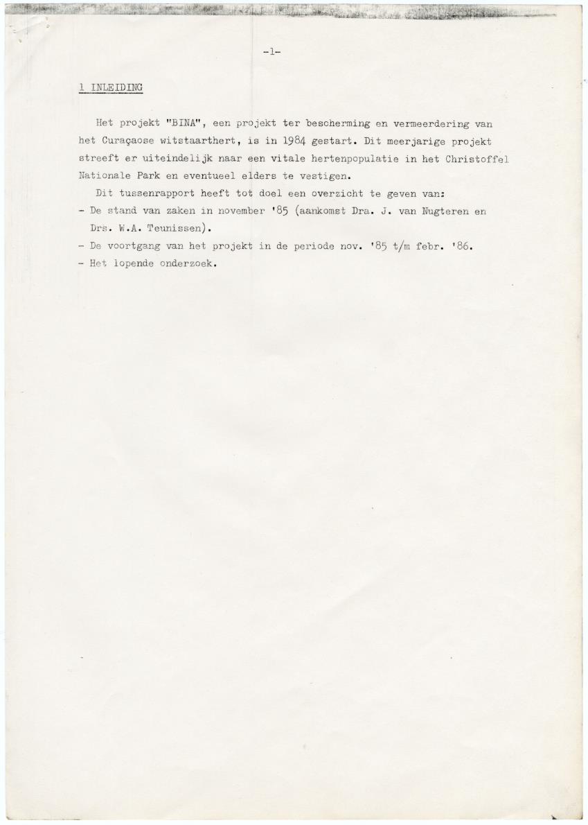 Project Bina, voortgangsrapport nr 4 - New Page