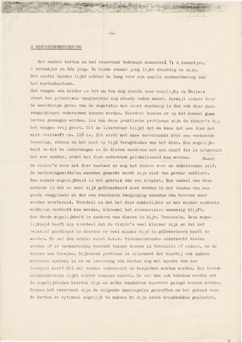 Project Bina, voortgangsrapport nr 4 - New Page