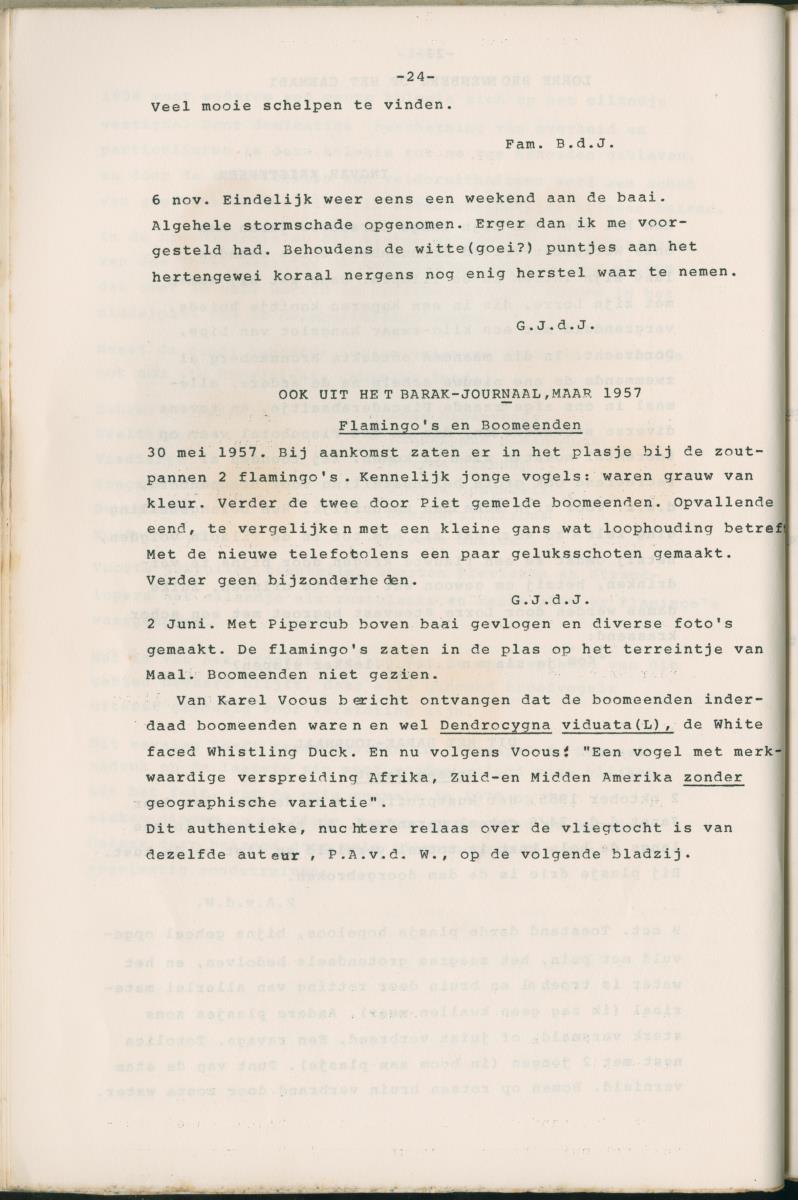 Binti anja mas o menos - ABC nummer 1 - New Page