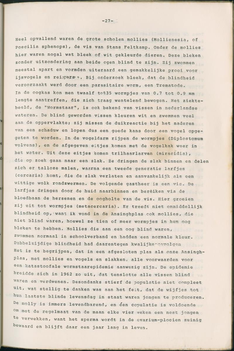 Binti anja mas o menos - ABC nummer 1 - New Page