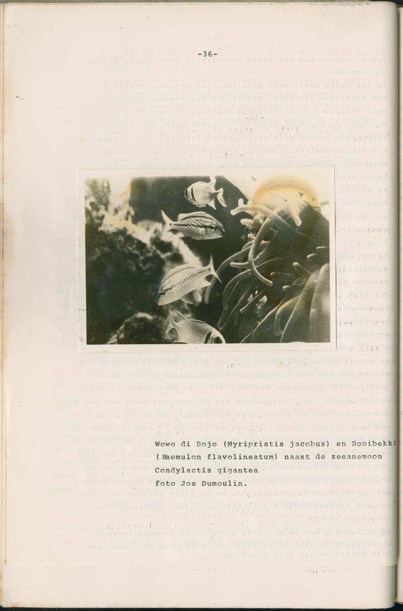 Binti anja mas o menos - ABC nummer 1 - New Page