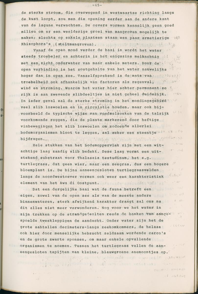 Binti anja mas o menos - ABC nummer 1 - New Page