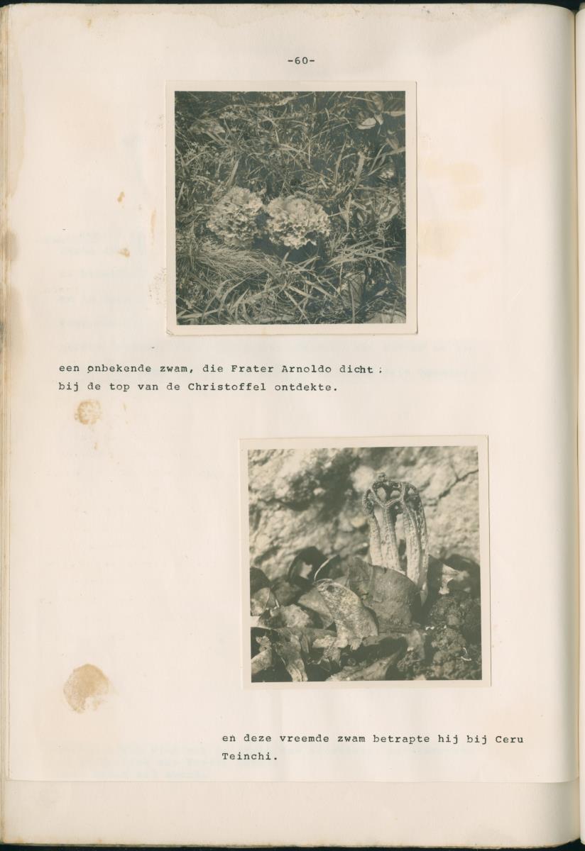 Binti anja mas o menos - ABC nummer 1 - New Page