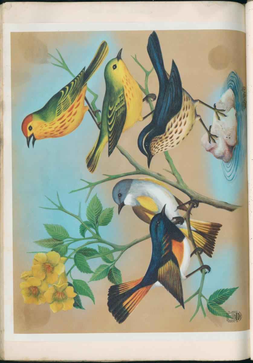 Binti anja mas o menos - ABC nummer 1 - New Page