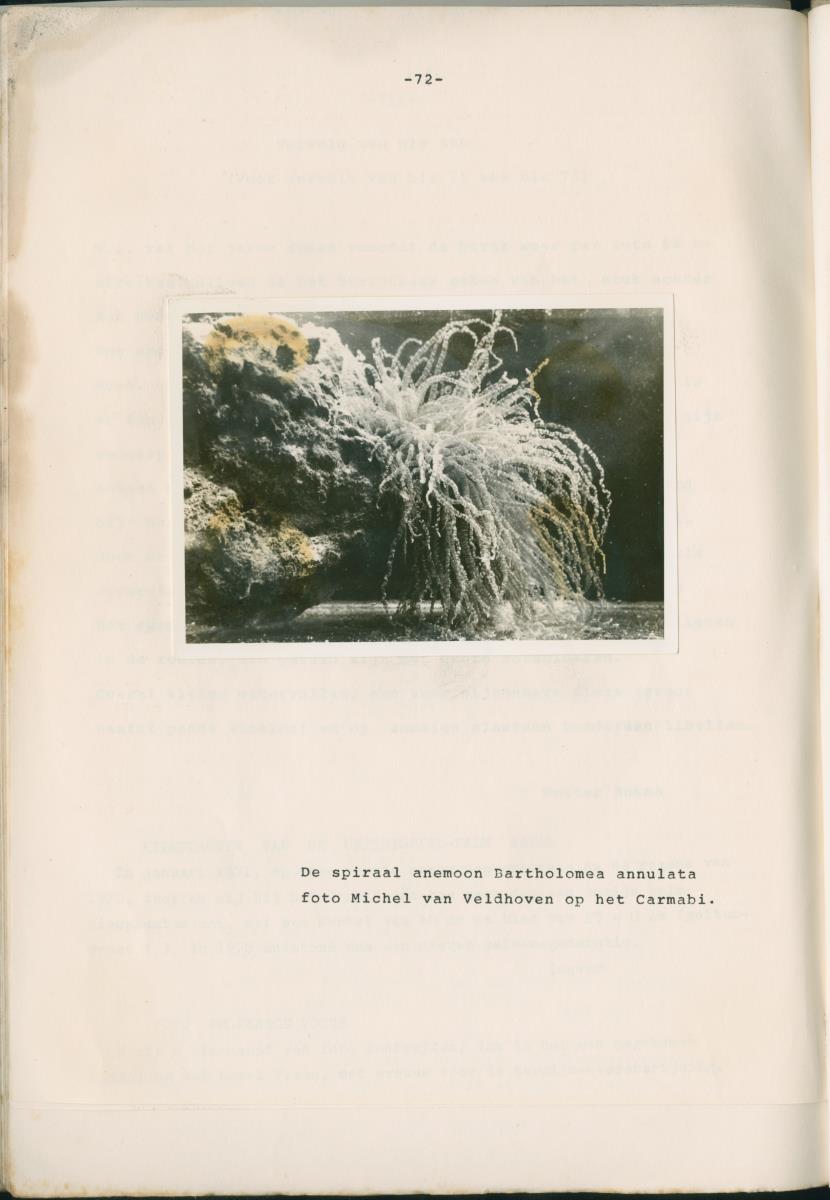 Binti anja mas o menos - ABC nummer 1 - New Page