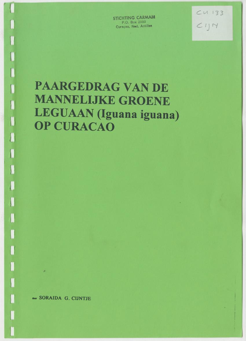 Z Paargedrag van de mannelijke Groene Leguaan (Iguana iguane) op Curacao - New Page