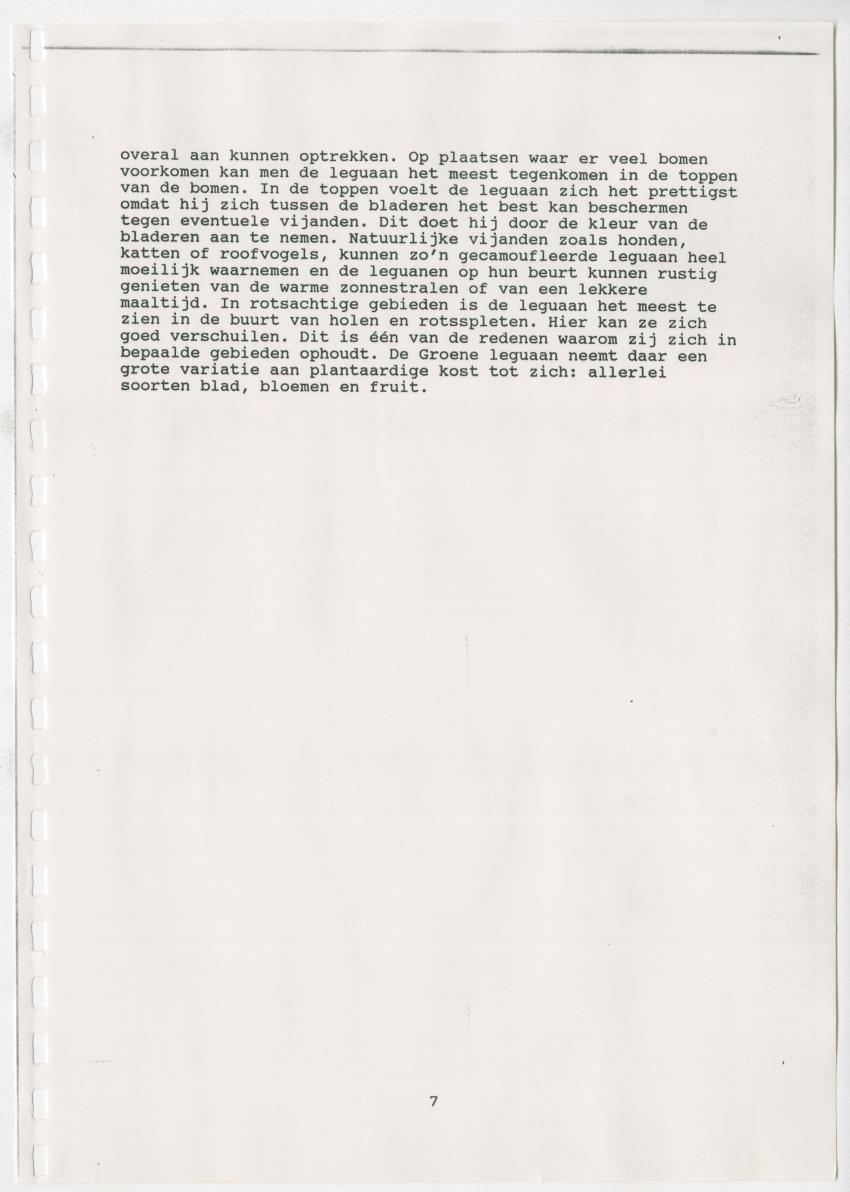 Z Paargedrag van de mannelijke Groene Leguaan (Iguana iguane) op Curacao - New Page