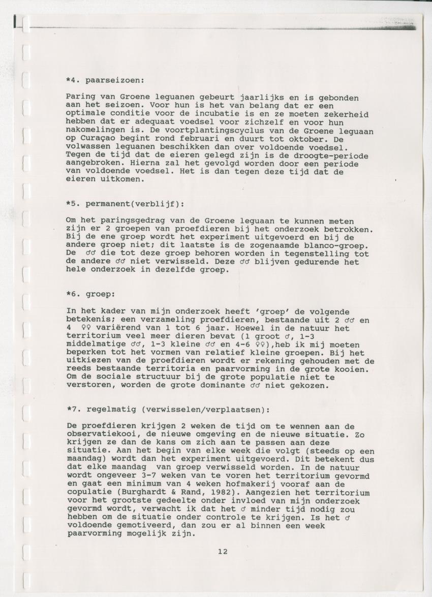 Z Paargedrag van de mannelijke Groene Leguaan (Iguana iguane) op Curacao - New Page