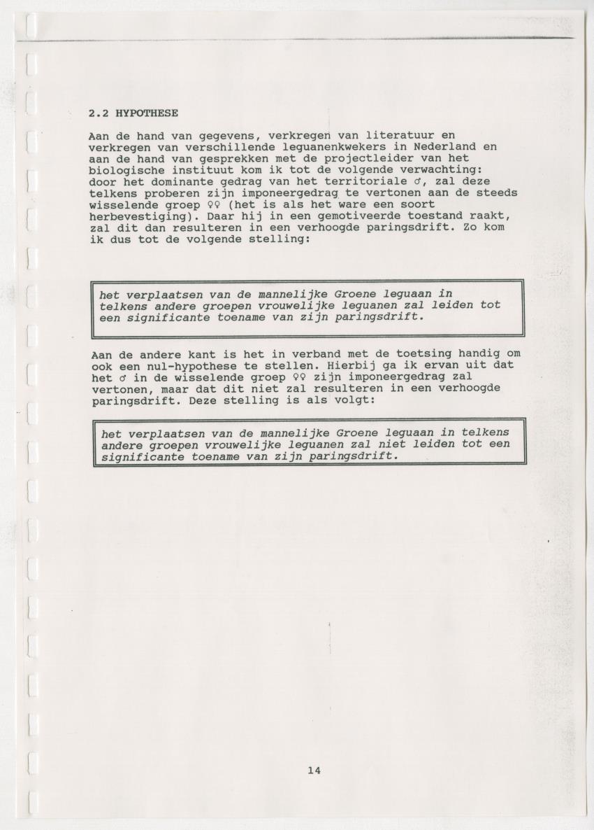 Z Paargedrag van de mannelijke Groene Leguaan (Iguana iguane) op Curacao - New Page