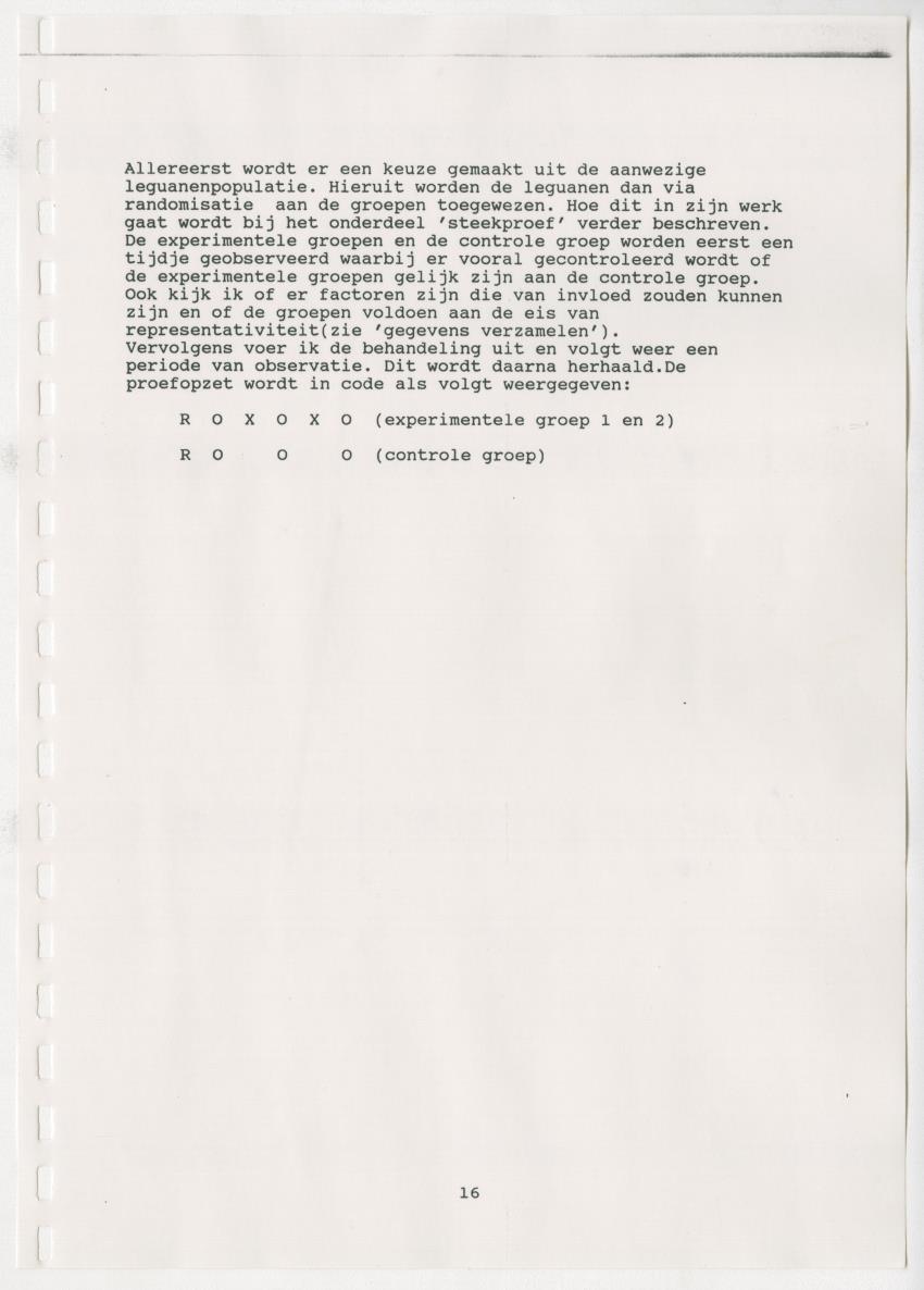 Z Paargedrag van de mannelijke Groene Leguaan (Iguana iguane) op Curacao - New Page