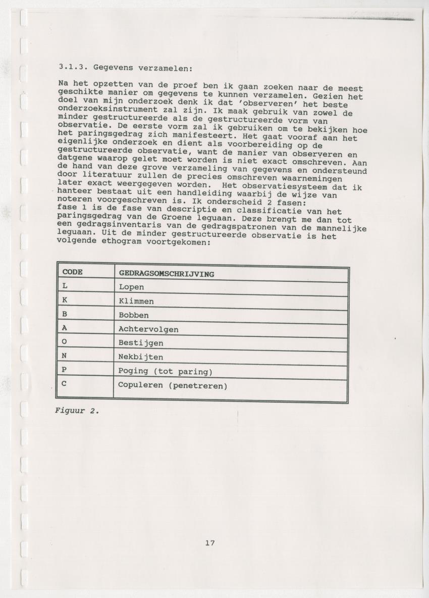 Z Paargedrag van de mannelijke Groene Leguaan (Iguana iguane) op Curacao - New Page