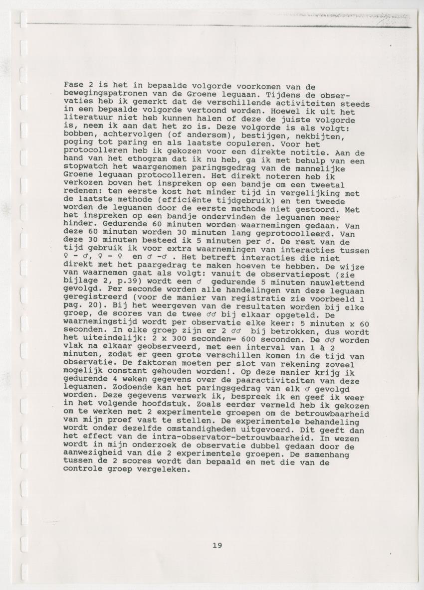 Z Paargedrag van de mannelijke Groene Leguaan (Iguana iguane) op Curacao - New Page