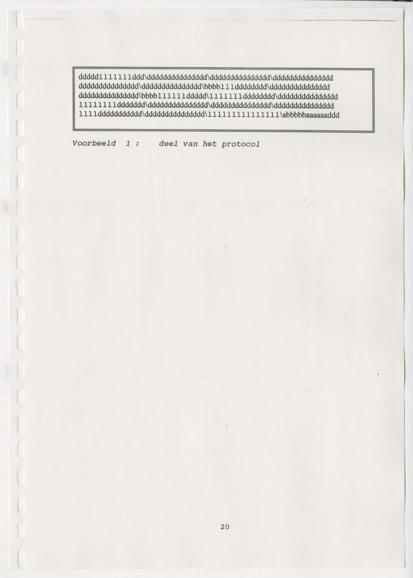 Z Paargedrag van de mannelijke Groene Leguaan (Iguana iguane) op Curacao - New Page