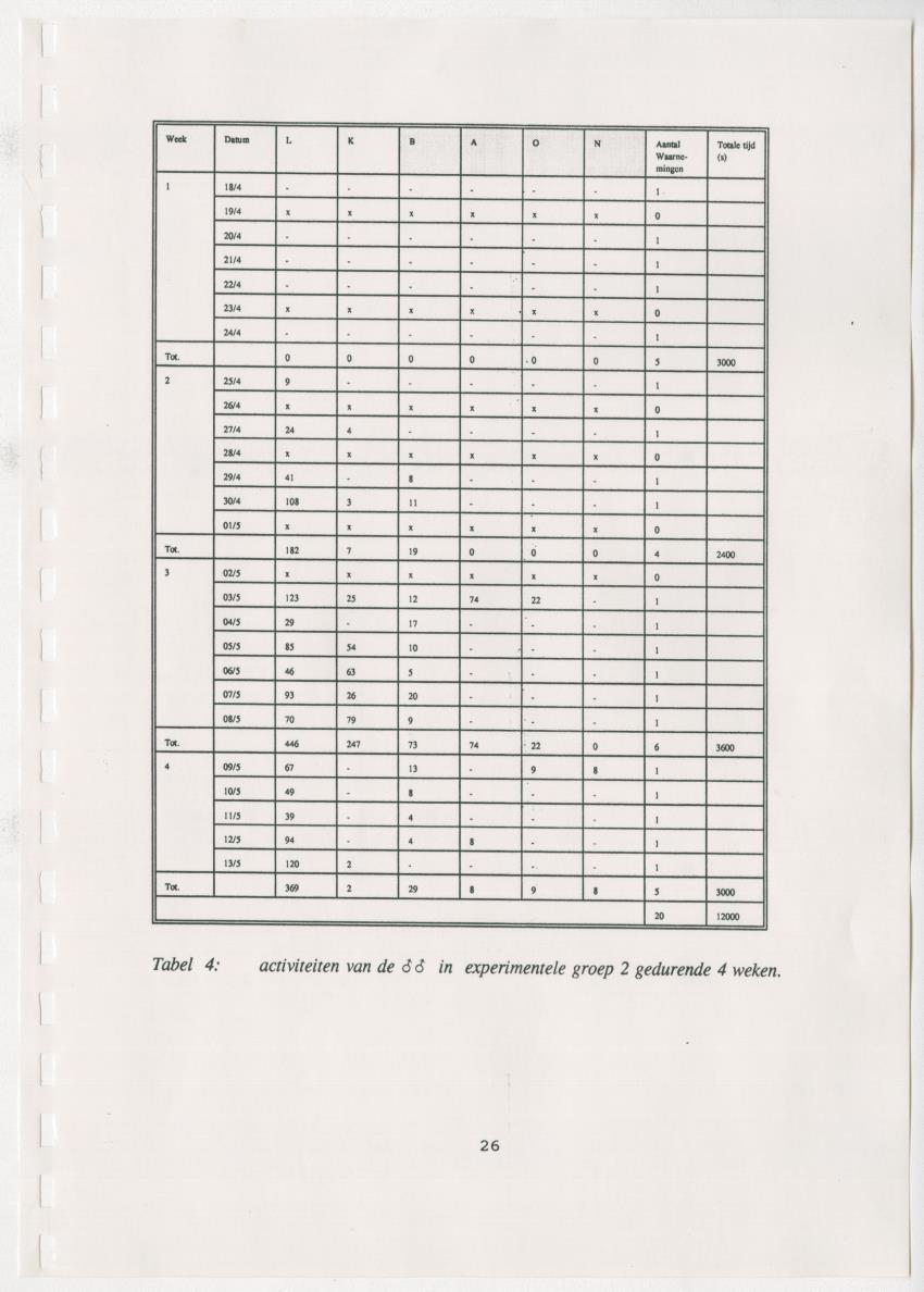 Z Paargedrag van de mannelijke Groene Leguaan (Iguana iguane) op Curacao - New Page