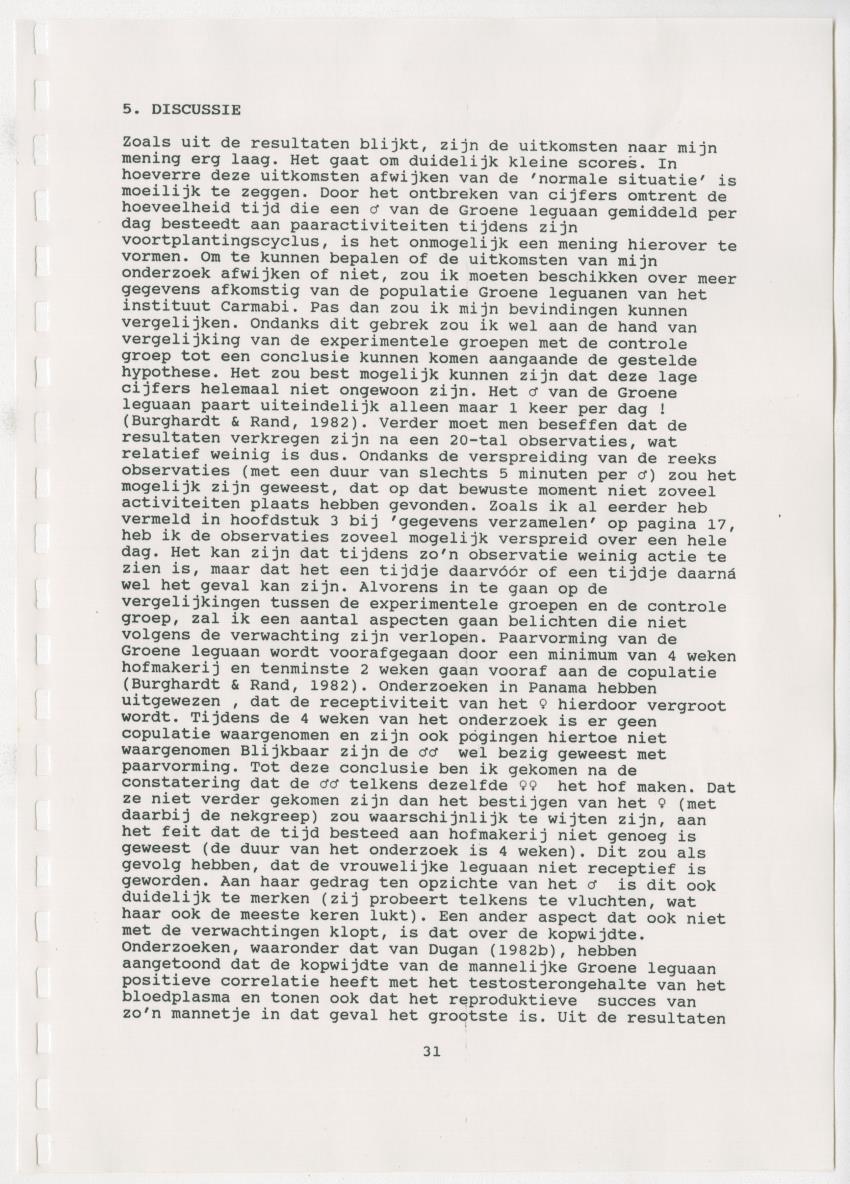 Z Paargedrag van de mannelijke Groene Leguaan (Iguana iguane) op Curacao - New Page