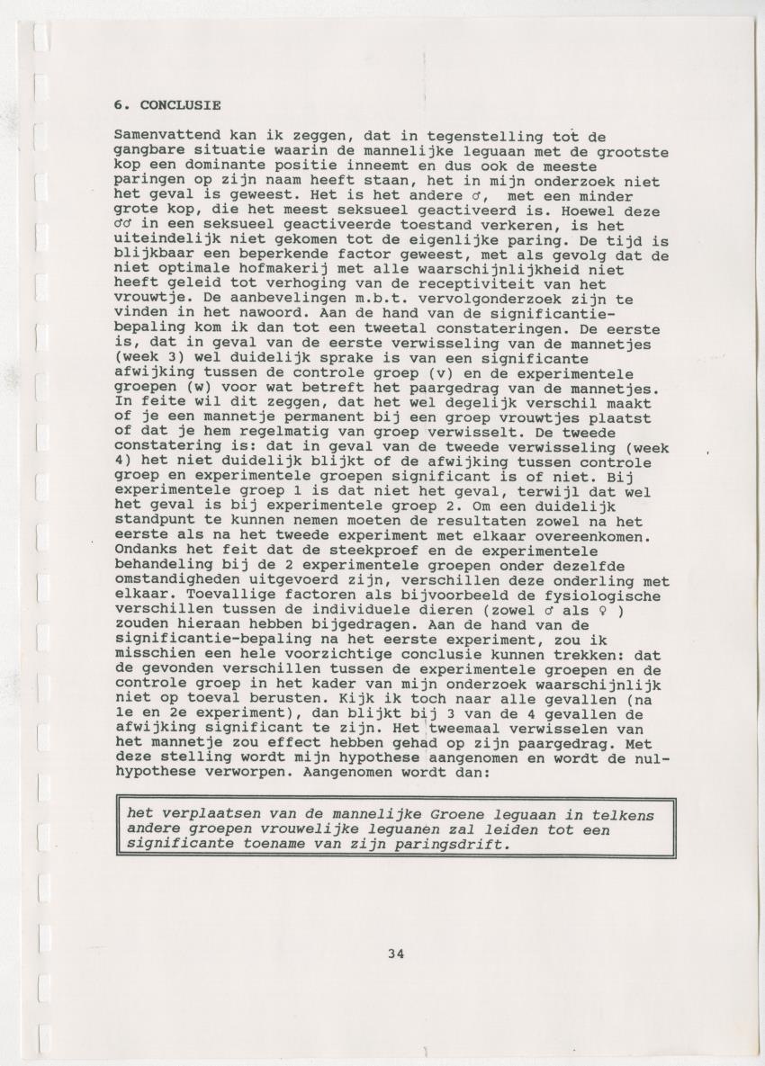 Z Paargedrag van de mannelijke Groene Leguaan (Iguana iguane) op Curacao - New Page