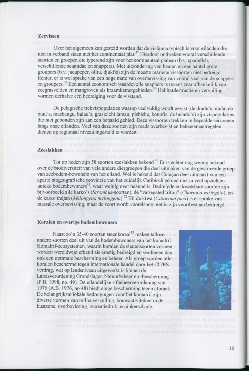 Z Concept Natuurbeleidsplan van Curacao - New Page