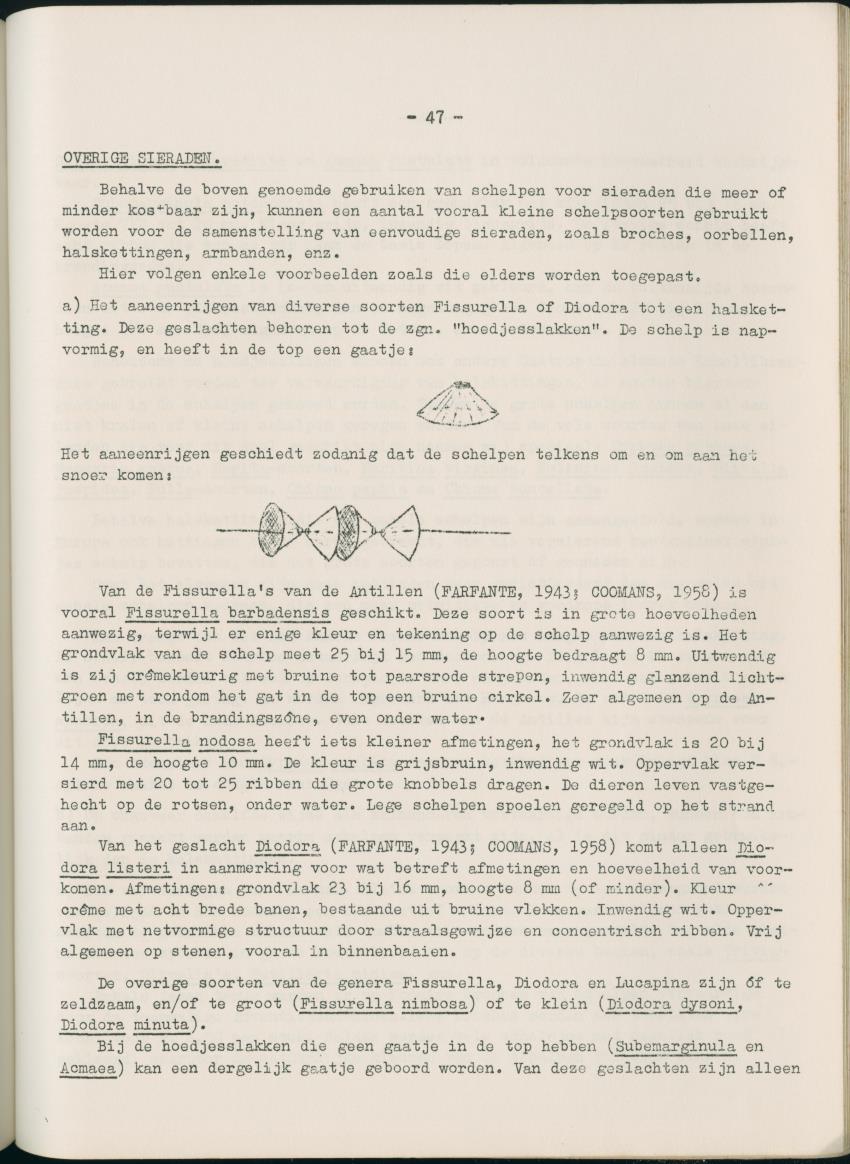 Z  Rapport betreffende het economisch gebruik van weekdieren van de Nederlandse Antillen - New Page