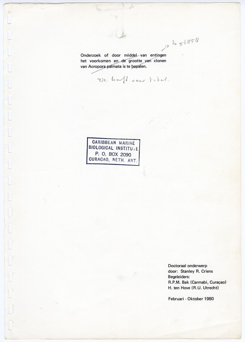Z  Onderzoek naar de efficientie van de vegetatieve voortplanting van steenkoralen (Scleractinia) - New Page