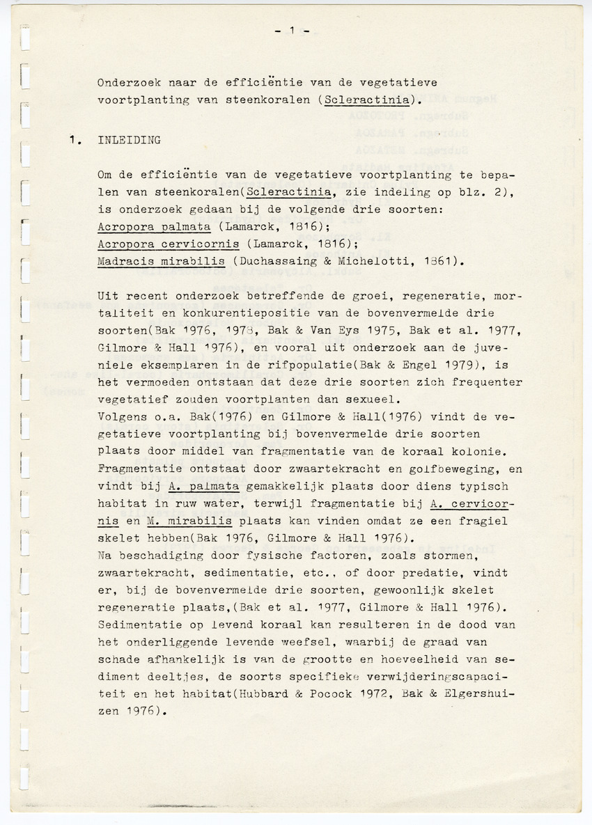 Z  Onderzoek naar de efficientie van de vegetatieve voortplanting van steenkoralen (Scleractinia) - New Page