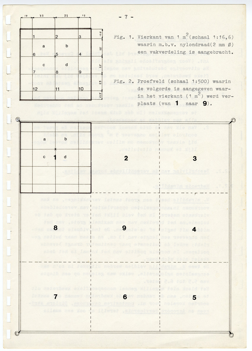 Z  Onderzoek naar de efficientie van de vegetatieve voortplanting van steenkoralen (Scleractinia) - New Page