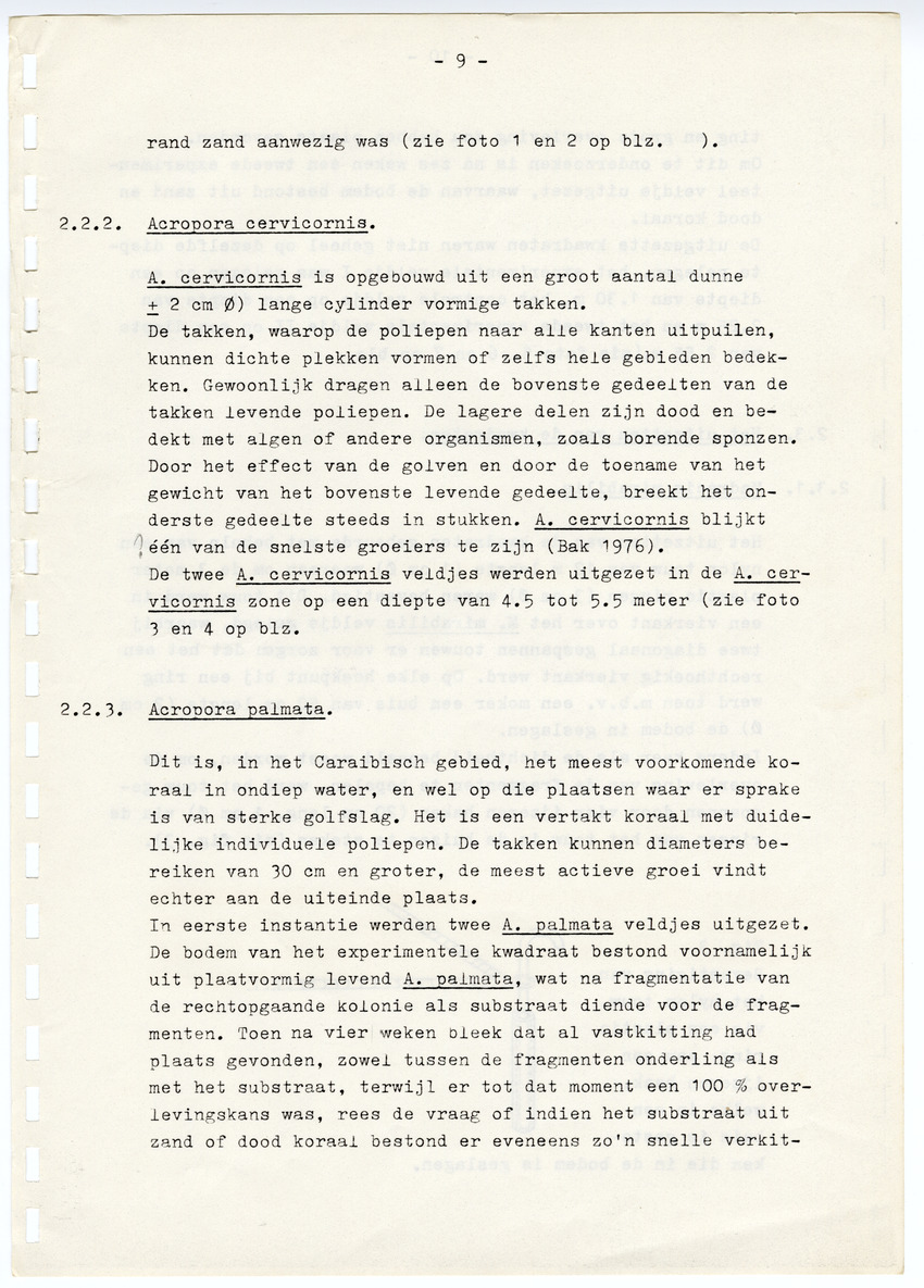 Z  Onderzoek naar de efficientie van de vegetatieve voortplanting van steenkoralen (Scleractinia) - New Page