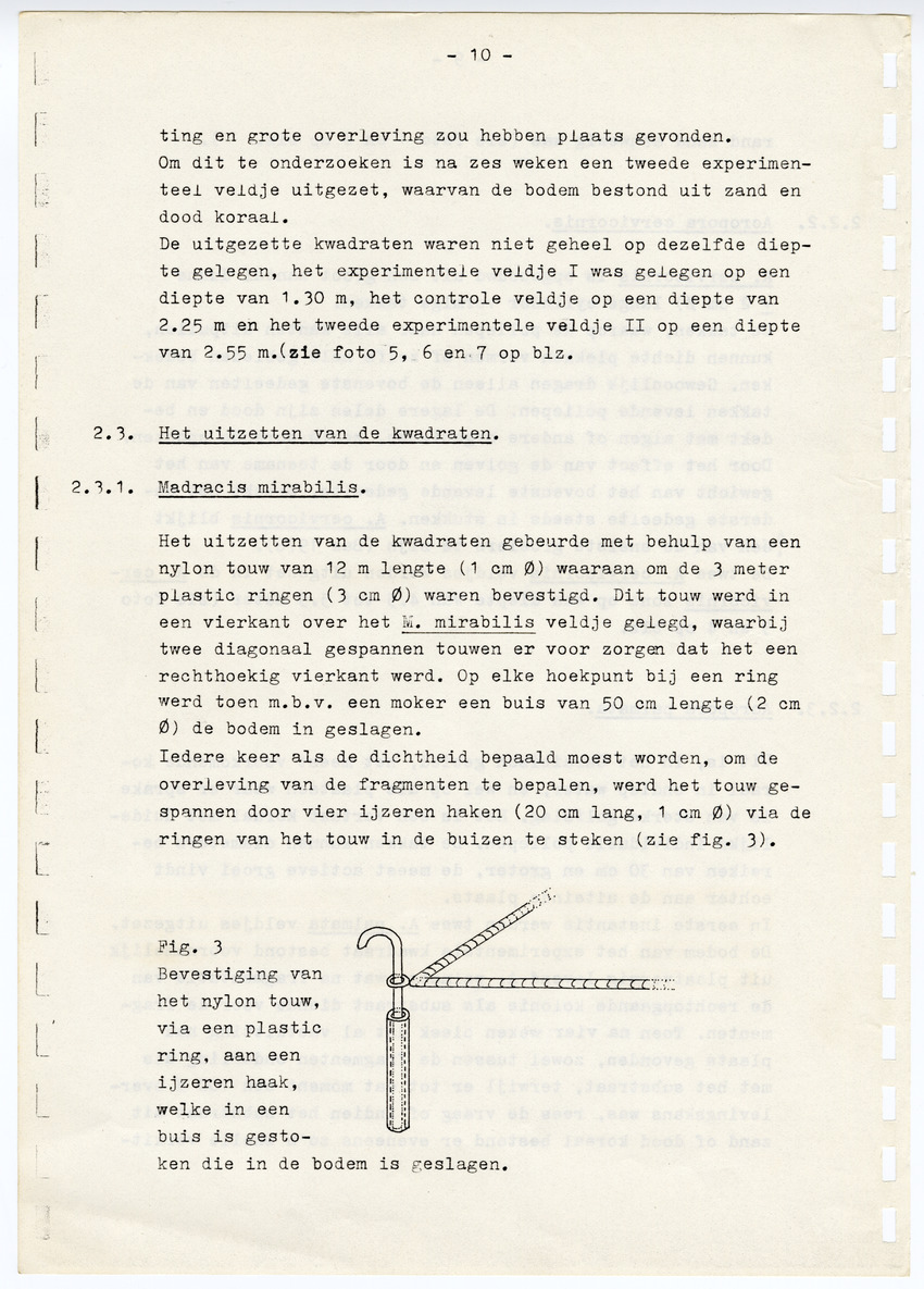 Z  Onderzoek naar de efficientie van de vegetatieve voortplanting van steenkoralen (Scleractinia) - New Page