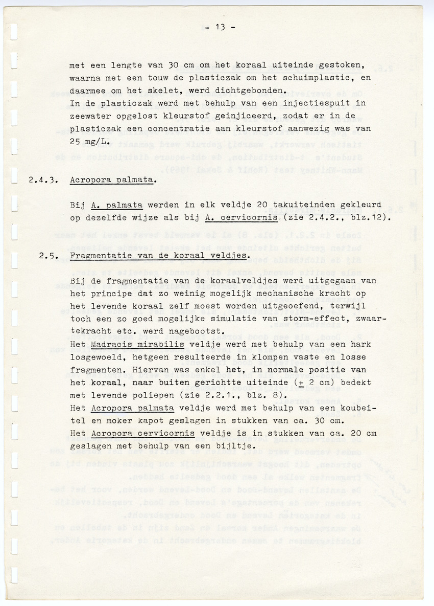Z  Onderzoek naar de efficientie van de vegetatieve voortplanting van steenkoralen (Scleractinia) - New Page