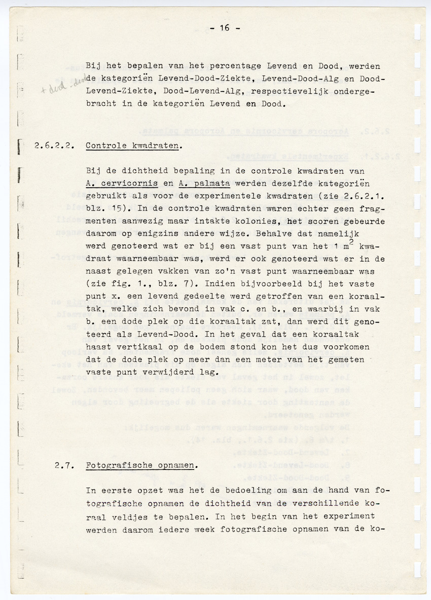 Z  Onderzoek naar de efficientie van de vegetatieve voortplanting van steenkoralen (Scleractinia) - New Page