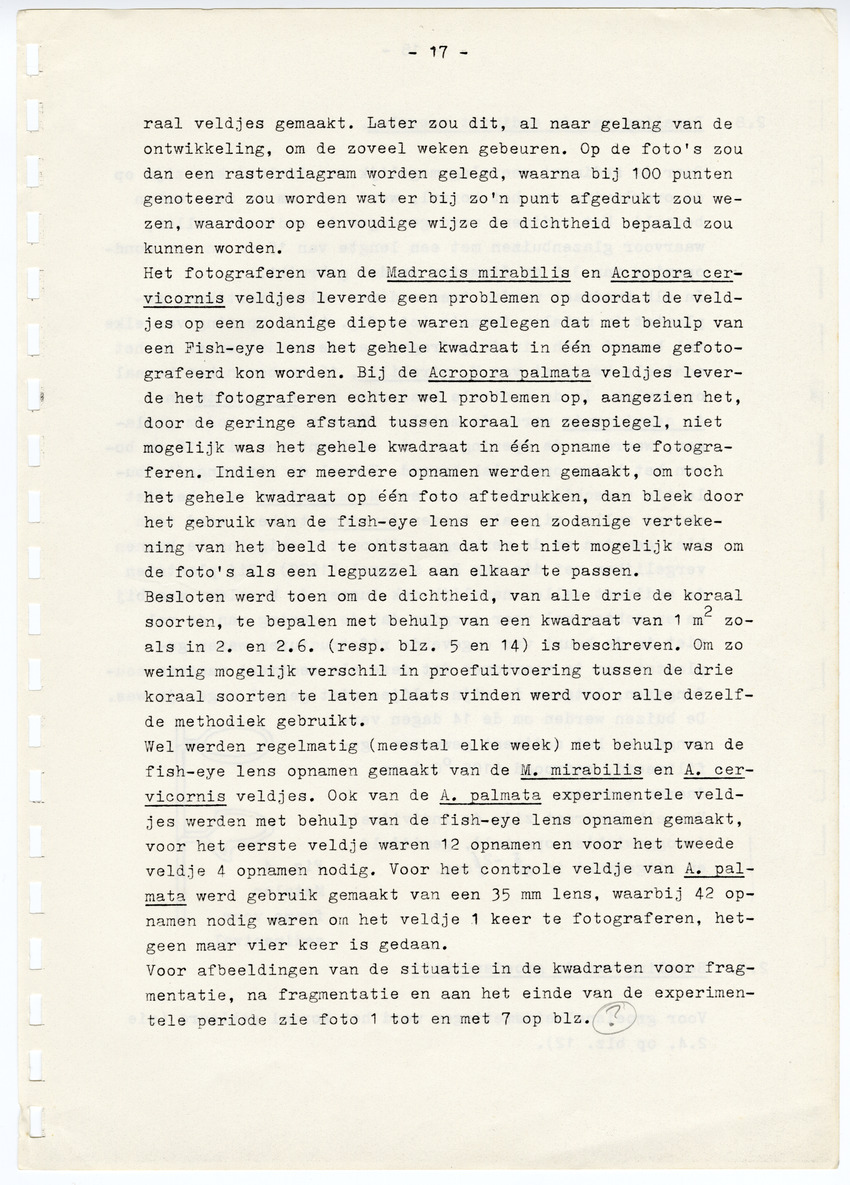 Z  Onderzoek naar de efficientie van de vegetatieve voortplanting van steenkoralen (Scleractinia) - New Page
