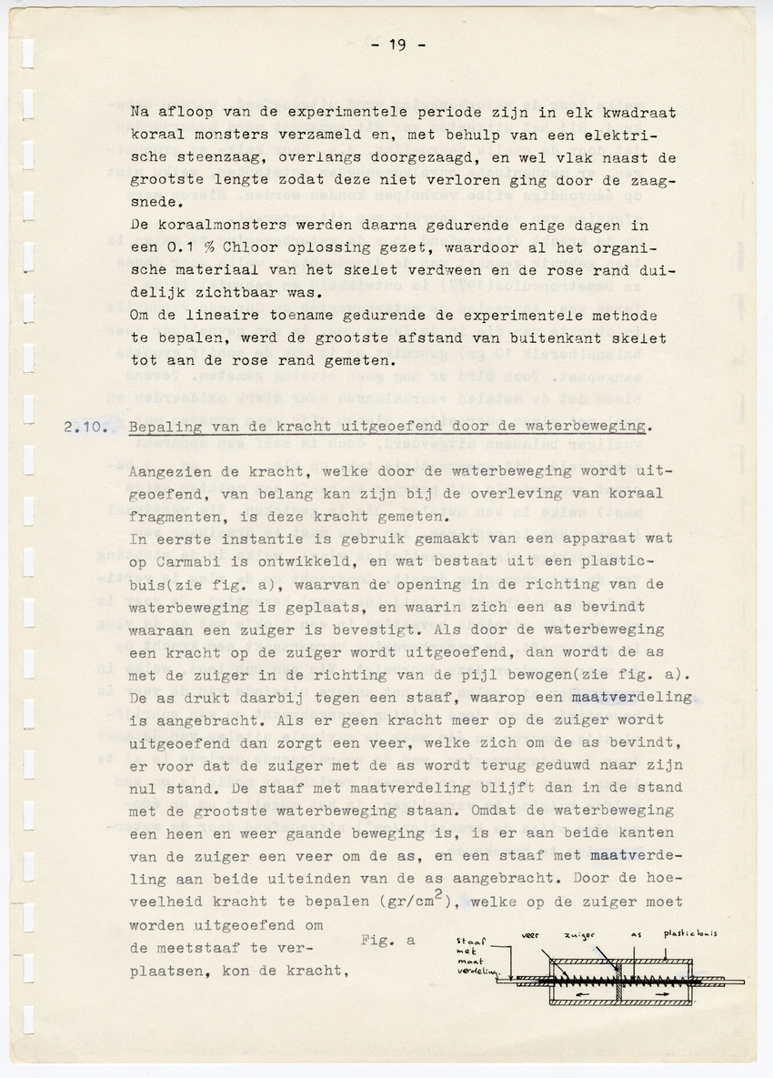 Z  Onderzoek naar de efficientie van de vegetatieve voortplanting van steenkoralen (Scleractinia) - New Page