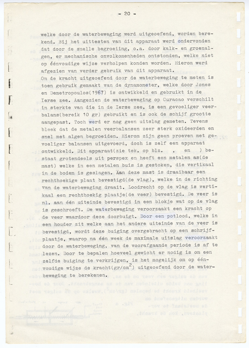 Z  Onderzoek naar de efficientie van de vegetatieve voortplanting van steenkoralen (Scleractinia) - New Page