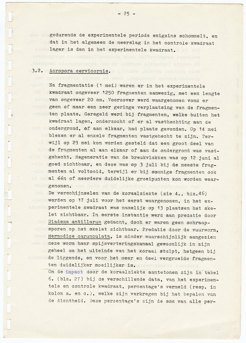 Z  Onderzoek naar de efficientie van de vegetatieve voortplanting van steenkoralen (Scleractinia) - New Page