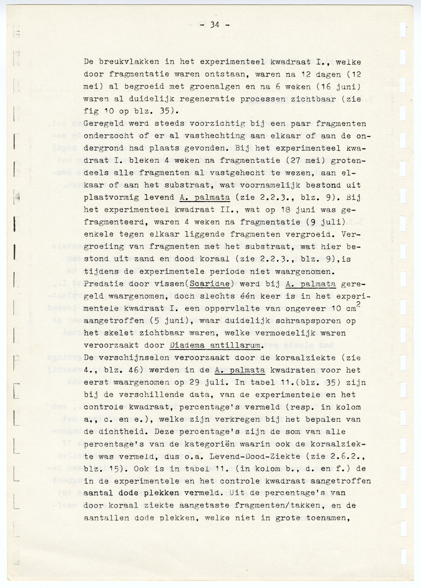 Z  Onderzoek naar de efficientie van de vegetatieve voortplanting van steenkoralen (Scleractinia) - New Page