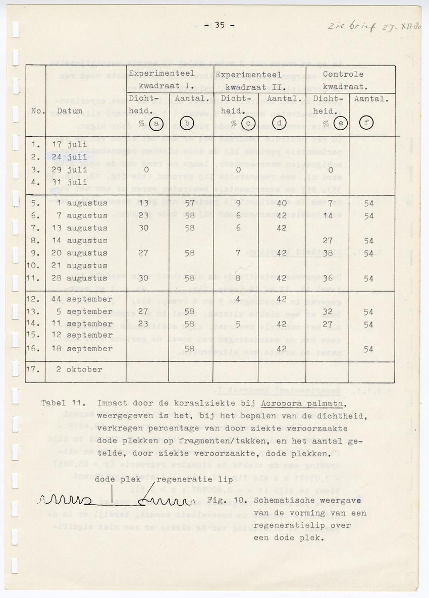 Z  Onderzoek naar de efficientie van de vegetatieve voortplanting van steenkoralen (Scleractinia) - New Page