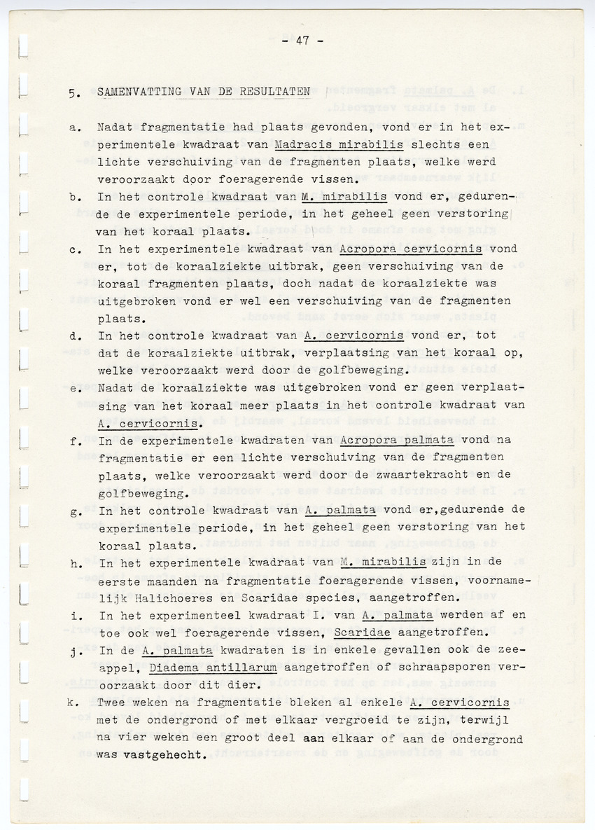 Z  Onderzoek naar de efficientie van de vegetatieve voortplanting van steenkoralen (Scleractinia) - New Page