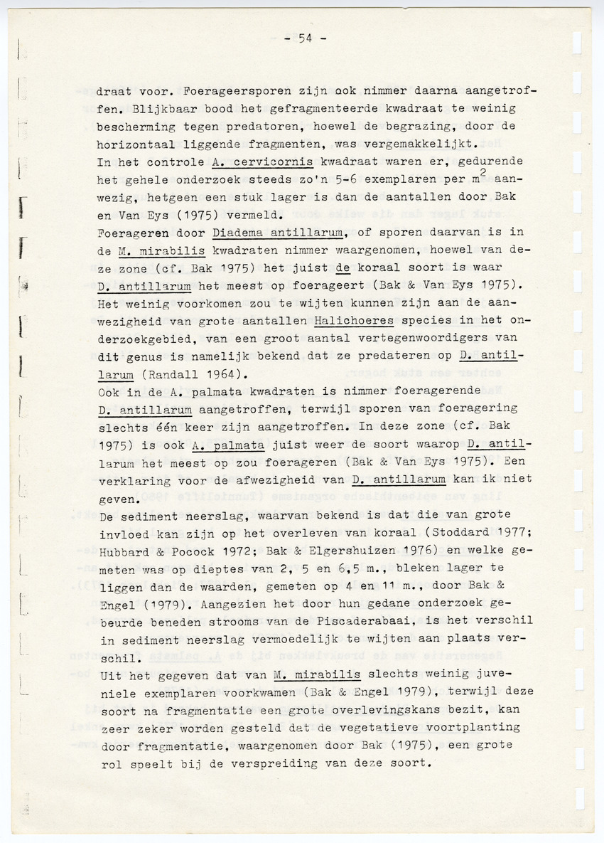 Z  Onderzoek naar de efficientie van de vegetatieve voortplanting van steenkoralen (Scleractinia) - New Page