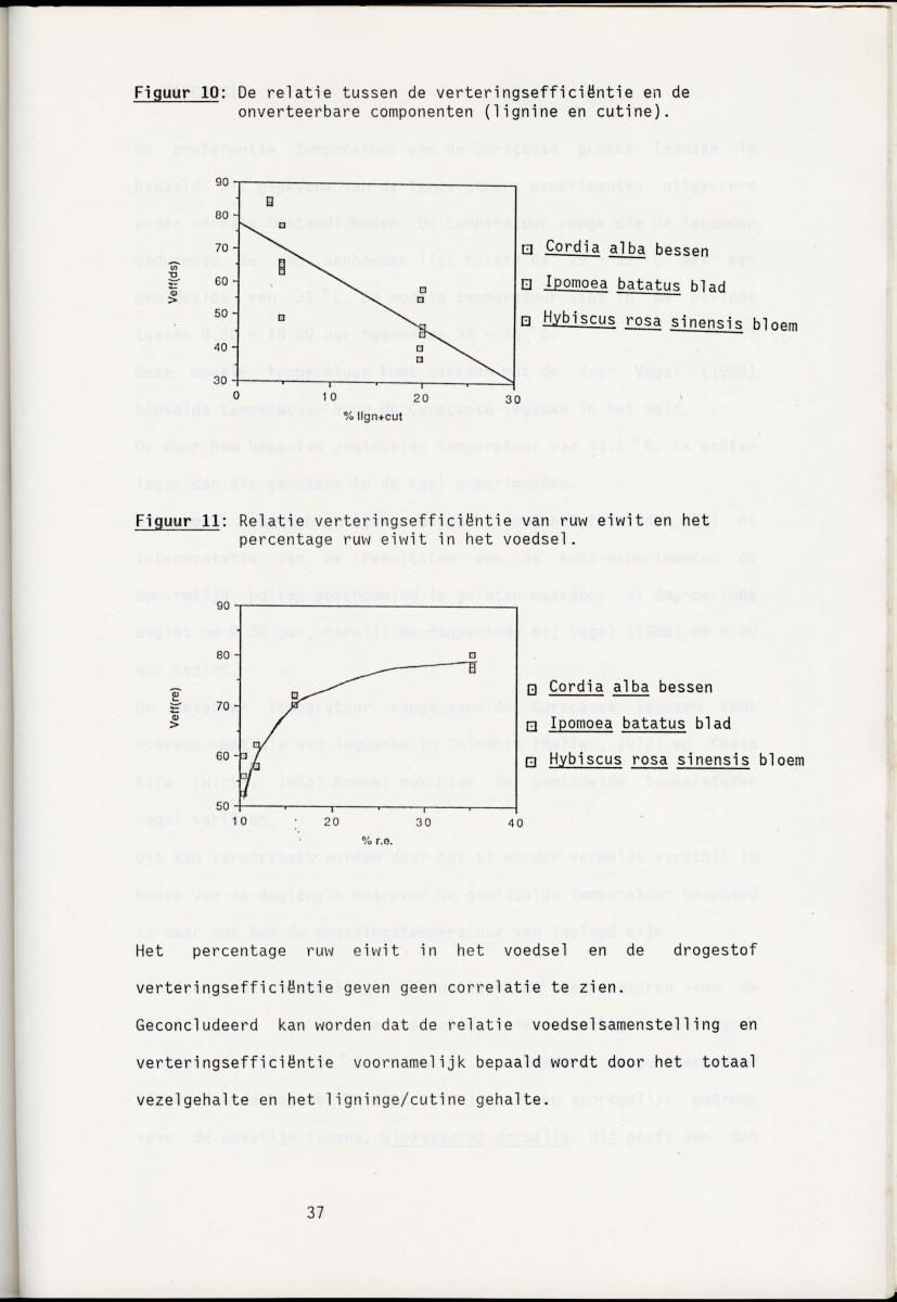 Z Onderzoek naar de verteringsefficientie van de groene leguaan (Iguana iguana L.) op Curacao (Nederlandse Antillen) - New Page