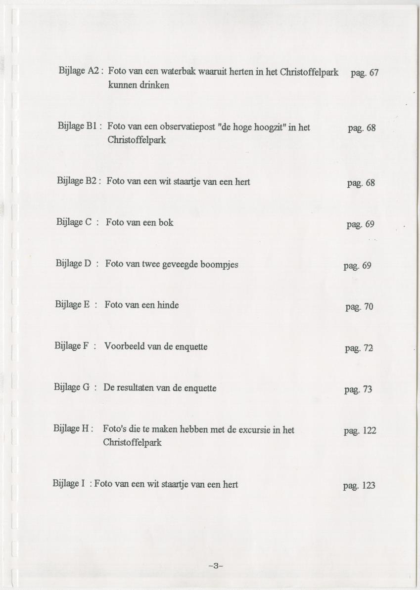 De hoefdieren van Curacao - New Page