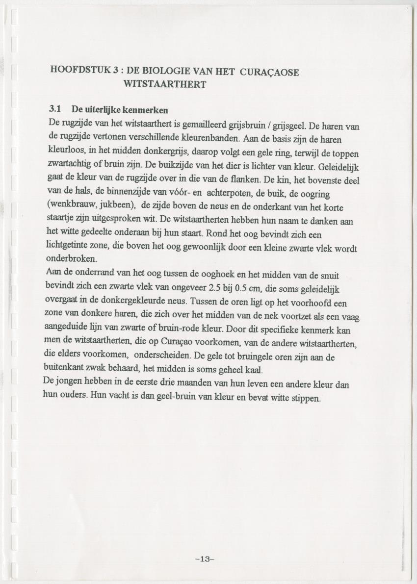 De hoefdieren van Curacao - New Page