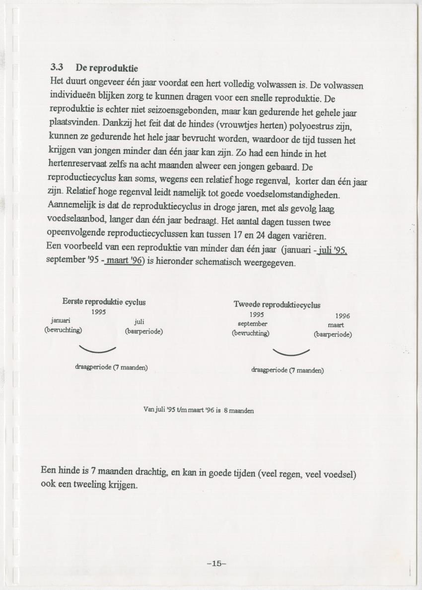 De hoefdieren van Curacao - New Page