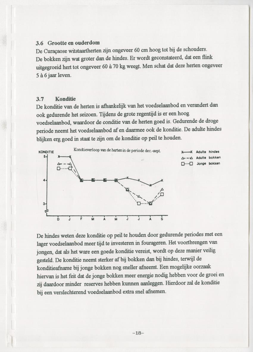 De hoefdieren van Curacao - New Page